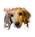 ジジララ専用（個別スタンプ：1）