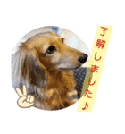 ジジララ専用（個別スタンプ：5）