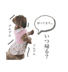 岡本家’s（個別スタンプ：7）