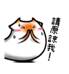 ドラカット-メロン "心の中の言葉！"（個別スタンプ：3）