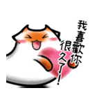 ドラカット-メロン "心の中の言葉！"（個別スタンプ：11）