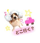 ここたん。パート3（個別スタンプ：4）