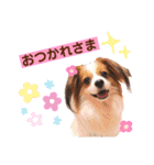 ここたん。パート3（個別スタンプ：5）