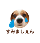 ここたん。パート3（個別スタンプ：6）