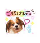 ここたん。パート3（個別スタンプ：8）