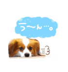 ここたん。パート3（個別スタンプ：9）