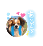 ここたん。パート3（個別スタンプ：10）