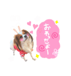 ここたん。パート3（個別スタンプ：11）