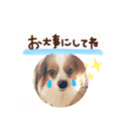 ここたん。パート3（個別スタンプ：13）