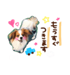 ここたん。パート3（個別スタンプ：14）