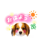 ここたん。パート3（個別スタンプ：17）