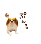 ここたん。パート3（個別スタンプ：18）