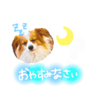 ここたん。パート3（個別スタンプ：20）