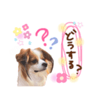 ここたん。パート3（個別スタンプ：21）