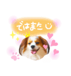 ここたん。パート3（個別スタンプ：23）