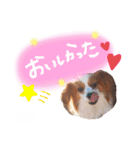 ここたん。パート3（個別スタンプ：24）