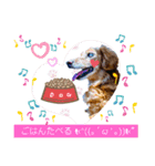 カルちゃんスタンプ2（個別スタンプ：15）