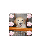 えるも と つみれ ②（個別スタンプ：3）