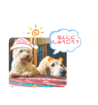 えるも と つみれ ②（個別スタンプ：6）