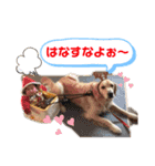 えるも と つみれ ②（個別スタンプ：9）