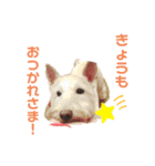 えるも と つみれ ②（個別スタンプ：10）