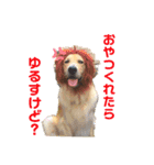 えるも と つみれ ②（個別スタンプ：12）