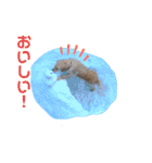 えるも と つみれ ②（個別スタンプ：13）