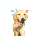 えるも と つみれ ②（個別スタンプ：14）