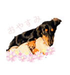 Kukuma•ダックスฅ·ᴥ·ฅ（個別スタンプ：5）