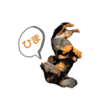 Kukuma•ダックスฅ·ᴥ·ฅ（個別スタンプ：15）