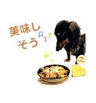 Kukuma•ダックスฅ·ᴥ·ฅ（個別スタンプ：24）