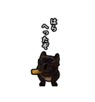 フレンチブルドッグのはなたろ（個別スタンプ：14）