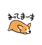 corgi-plus2（個別スタンプ：2）