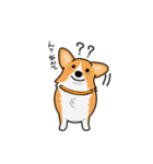 corgi-plus2（個別スタンプ：6）