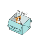 corgi-plus2（個別スタンプ：7）