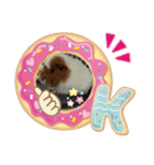 モルモットどんぐり（個別スタンプ：6）