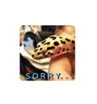 レオパの徠ちゃんズ☆すたんぷ（個別スタンプ：3）