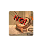 レオパの徠ちゃんズ☆すたんぷ（個別スタンプ：4）