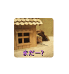 レオパの徠ちゃんズ☆すたんぷ（個別スタンプ：22）