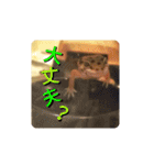 レオパの徠ちゃんズ☆すたんぷ（個別スタンプ：29）