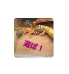 レオパの徠ちゃんズ☆すたんぷ（個別スタンプ：30）