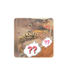 レオパの徠ちゃんズ☆すたんぷ（個別スタンプ：36）