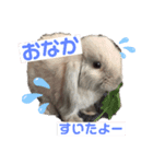 だいふく♡（個別スタンプ：1）