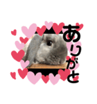 だいふく♡（個別スタンプ：4）