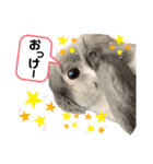だいふく♡（個別スタンプ：5）