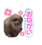 だいふく♡（個別スタンプ：7）