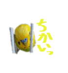 私のセキセイインコの日常（個別スタンプ：5）