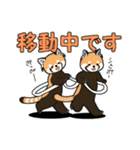 レッサーパンダは絶滅危惧種です（個別スタンプ：5）