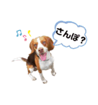トロンさん（個別スタンプ：4）
