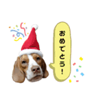 トロンさん（個別スタンプ：6）